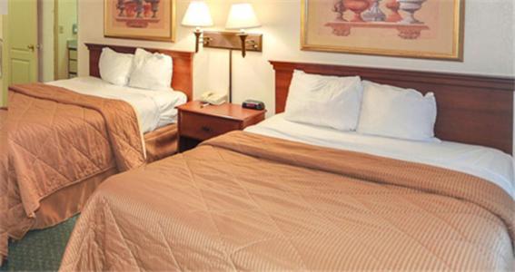 Economy Hotel Marietta Δωμάτιο φωτογραφία